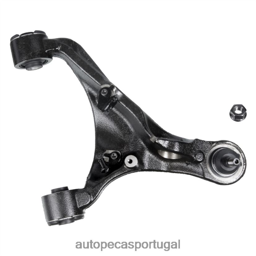 Land-Rover braço de controle rbj500840 B2T6FD806 | autopeças Lourinhã